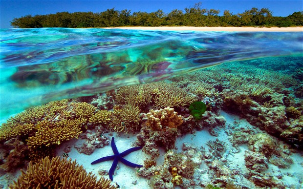 great barrier reef Australia